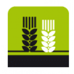 Vlasta Krejčiříková – logo společnosti