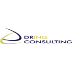 DRING Consulting s.r.o. – logo společnosti