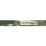 MiraOrtho s.r.o. - Ortodontická ordinace – logo společnosti