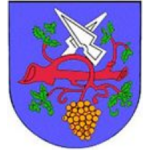 Obec Hodějice – logo společnosti
