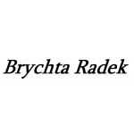 Brychta Radek - půjčovna minibusů – logo společnosti