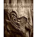 Pavel Španěl- Podlahářství – logo společnosti