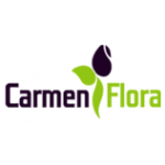 CARMEN TEAM, s.r.o. – logo společnosti
