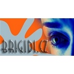 Brigidi, s.r.o. – logo společnosti