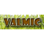 VALMIC s.r.o. – logo společnosti
