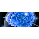 Magdaléna Hlavačková – Neurologická ambulance – logo společnosti