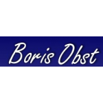 Autoškola Brno - Boris Obst – logo společnosti