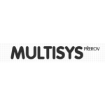 Ing. Petr Přidal - MULTISYS – logo společnosti