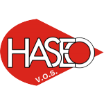 HASEO, v.o.s. – logo společnosti