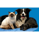 Jemelka Michal, MVDr. – Veterinární ordinace – logo společnosti