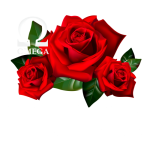 Pohřební služba Omega s.r.o. – logo společnosti