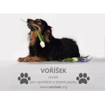 AJSHA a.s. – Útulek pro psy Voříšek – logo společnosti