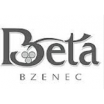 Hanák David- Hotel Beta – logo společnosti