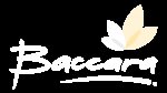 Kainerová Irena- Květinářství Baccara – logo společnosti