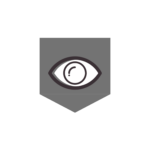 Vision Security - Martin Hochmann, MBA. – logo společnosti