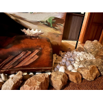 Spolek TANTRIS – Tantric massage hot – logo společnosti